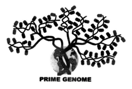 PRIME GENOME trademark