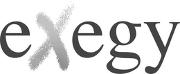 EXEGY trademark