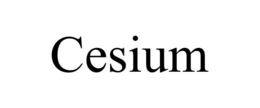 CESIUM trademark