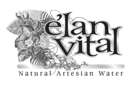 ÉLAN VITAL NATIONAL ARTESIAN WATER trademark