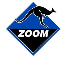 ZOOM trademark