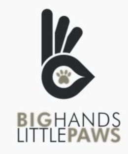 BIG HANDS LITTLE PAWS trademark
