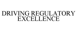 DRIVING REGULATORY EXCELLENCE trademark