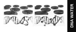 DNA WATER trademark