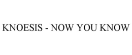 KNOESIS - NOW YOU KNOW trademark