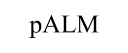 PALM trademark