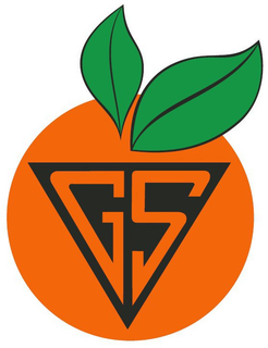 GS trademark