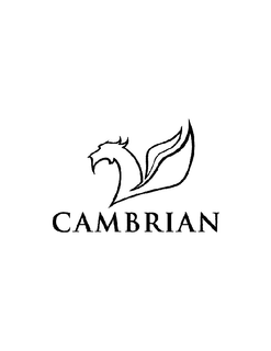 CAMBRIAN trademark