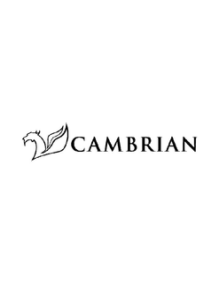 CAMBRIAN trademark