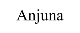 ANJUNA trademark