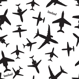 LIMOLAND trademark