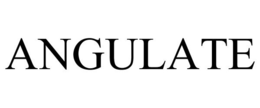 ANGULATE trademark