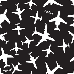 LIMOLAND trademark