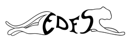 EDFS trademark