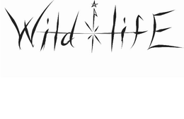 WILD LIFE trademark