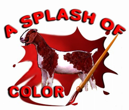 A SPLASH OF COLOR trademark