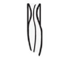 PSP trademark