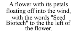 A FLOWER WITH ITS PETALS FLOATING OFF INTO THE WIND, WITH THE WORDS "SEED BIOTECH" TO THE THE LEFT OF THE FLOWER. trademark