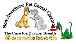 HOUNDSTOOTH THE CURE FOR DRAGON BREATH NON-ANESTHETIC PET TEETH CLEANING trademark
