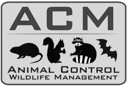ACM ANIMAL CONTROL WILDLIFE MANAGEMENT trademark