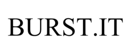 BURST.IT trademark
