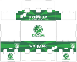 PREMIUM GUAYABA DE MEXICO, PREMIUM GUAYABA DE MEXICO, PREMIUM GUAYABA DE MEXICO, PREMIUM GUAYABA DE MEXICO, PREMIUM GUAYABA DE MEXICO, PREMIUM GUAYABA DE MEXICO, PREMIUM GUAYABA DE MEXICO trademark