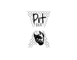 PIT BULL trademark