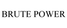BRUTE POWER trademark