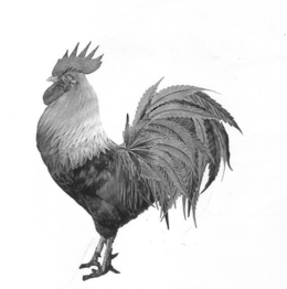 LogoMark trademark