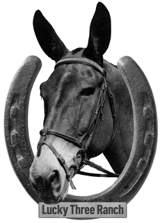 LUCKY THREE RANCH trademark