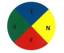 T N F S trademark