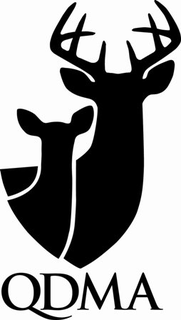 QDMA trademark