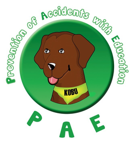 PREVENTION OF ACCIDENTS WITH EDUCATION KOBU P A E trademark