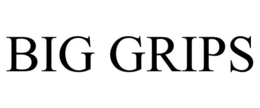 BIG GRIPS trademark