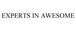 EXPERTS IN AWESOME trademark