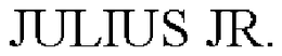 JULIUS JR. trademark