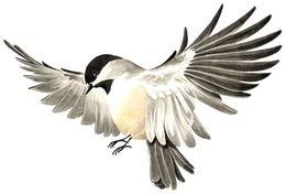 LogoMark trademark