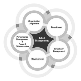 TALENT MANAGEMENT RECRUITMENT RETENTION ENGAGEMENT DEVELOPMENT PERFORMANCE MANAGEMENT & REWARD DIFFERENTIATION, ORGANIZATION ALIGNMENT trademark