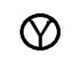 Y trademark
