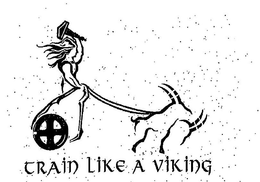 TRAIN LIKE A VIKING trademark