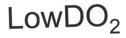 LOWDO2 trademark