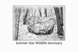 SUMMER STAR WILDLIFE SANCTUARY trademark