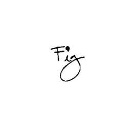 FIG trademark