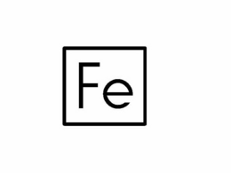 FE trademark