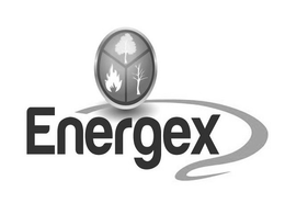ENERGEX trademark