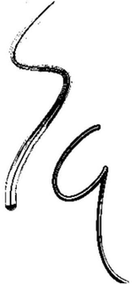 SQ trademark
