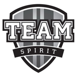 TEAM SPIRIT trademark