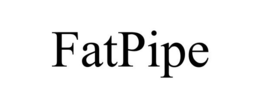 FATPIPE trademark