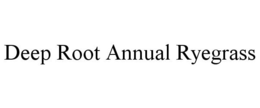 DEEP ROOT ANNUAL RYEGRASS trademark