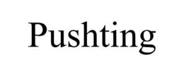 PUSHTING trademark